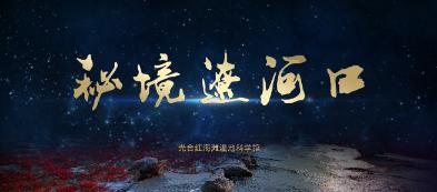 泡沫森林